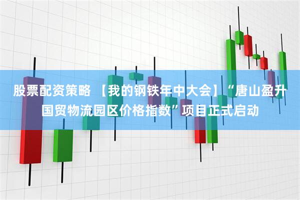股票配资策略 【我的钢铁年中大会】“唐山盈升国贸物流园区价格指数”项目正式启动